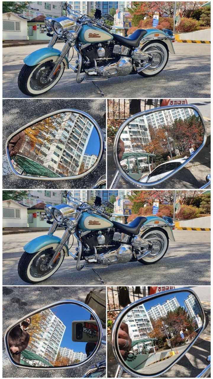 피트카페 이미지