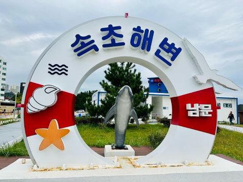 속초항아리물회 이미지