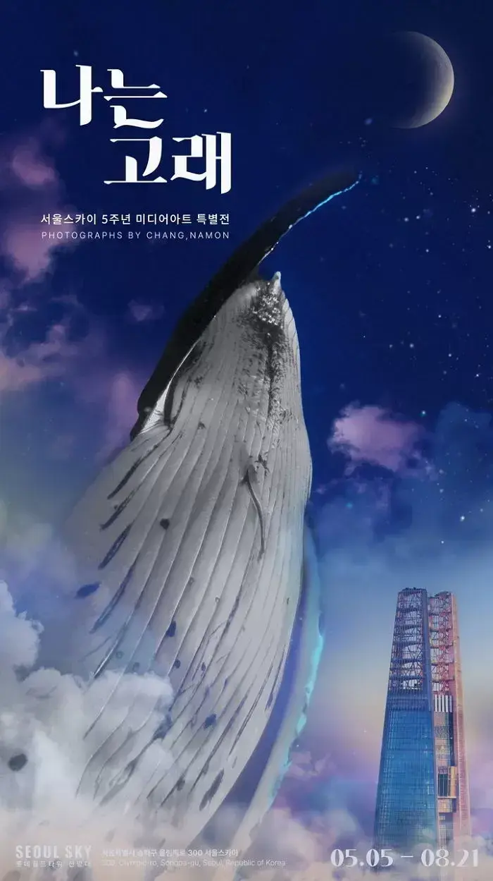 팽나무부터 고래, 김밥집까지... 드라마 이상한 변호사 우영우로 뜬 핫플 4곳 - 손님방 - 푸른 시의 방 푸른 시의 방