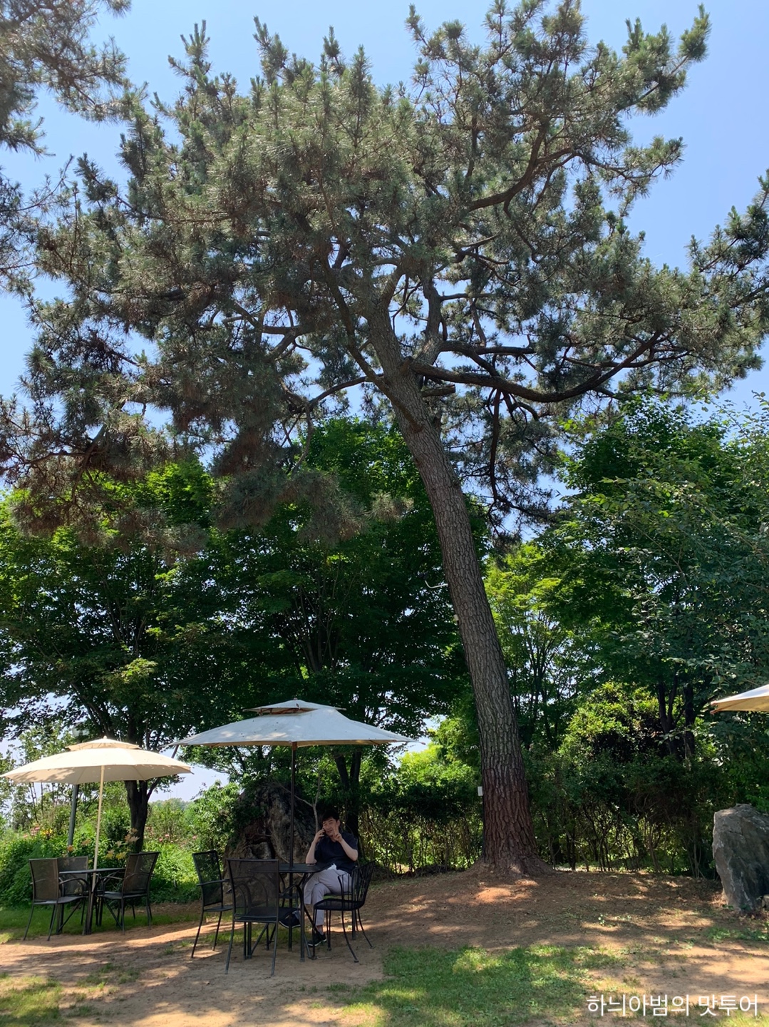 숲속카페 이미지