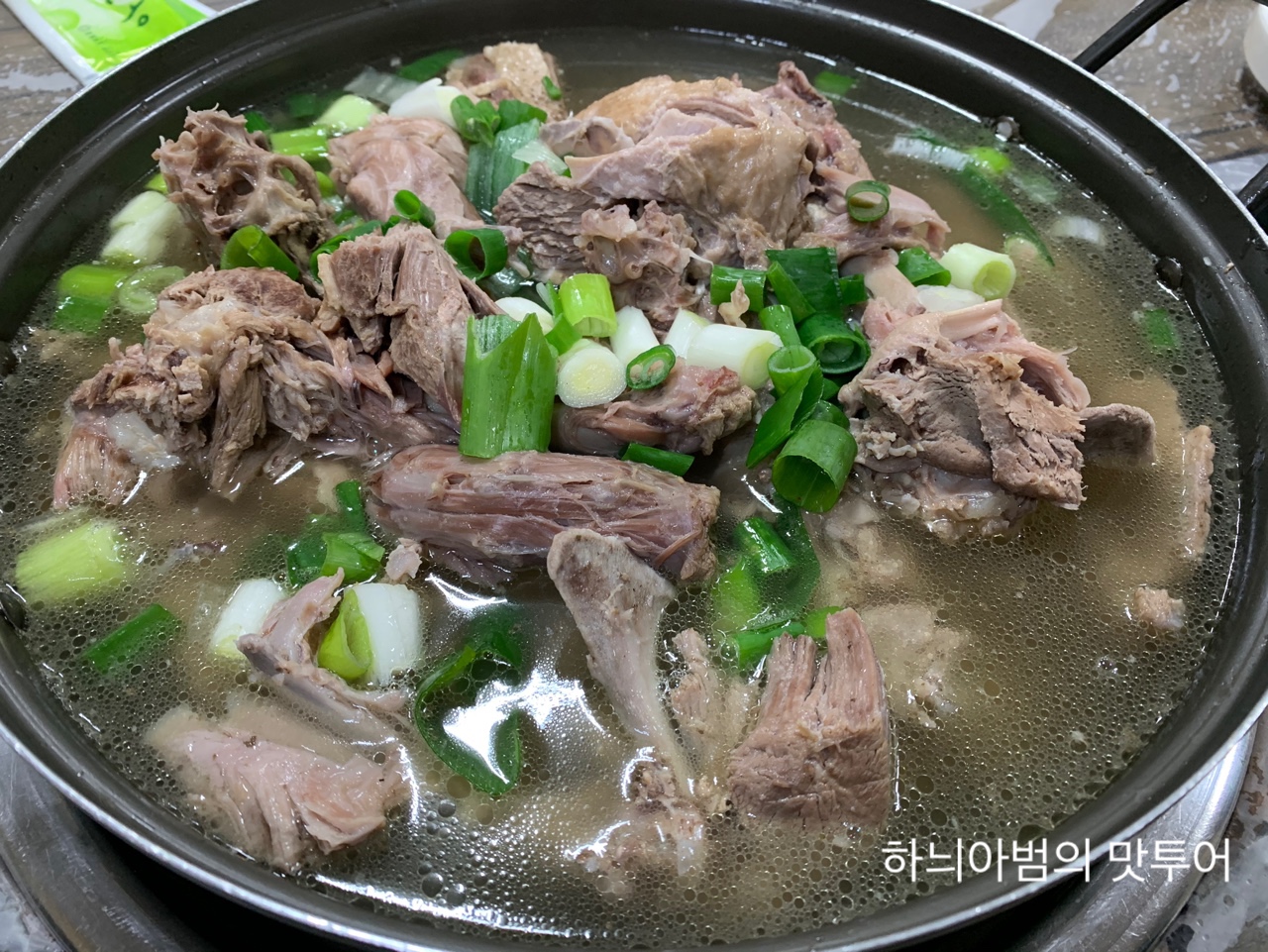 황칠오리 이미지