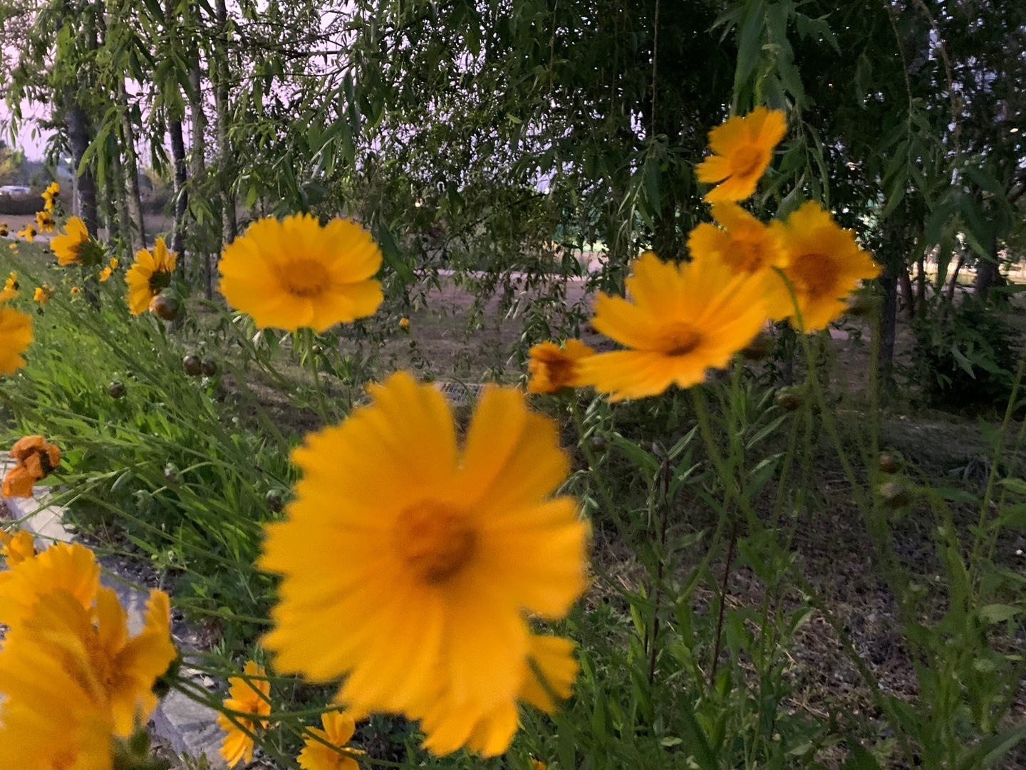 별미순대국밥 이미지