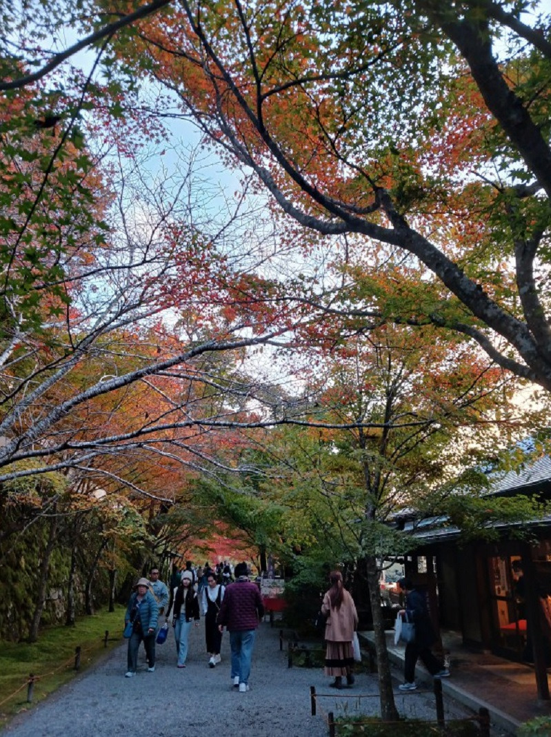 오하라 이미지