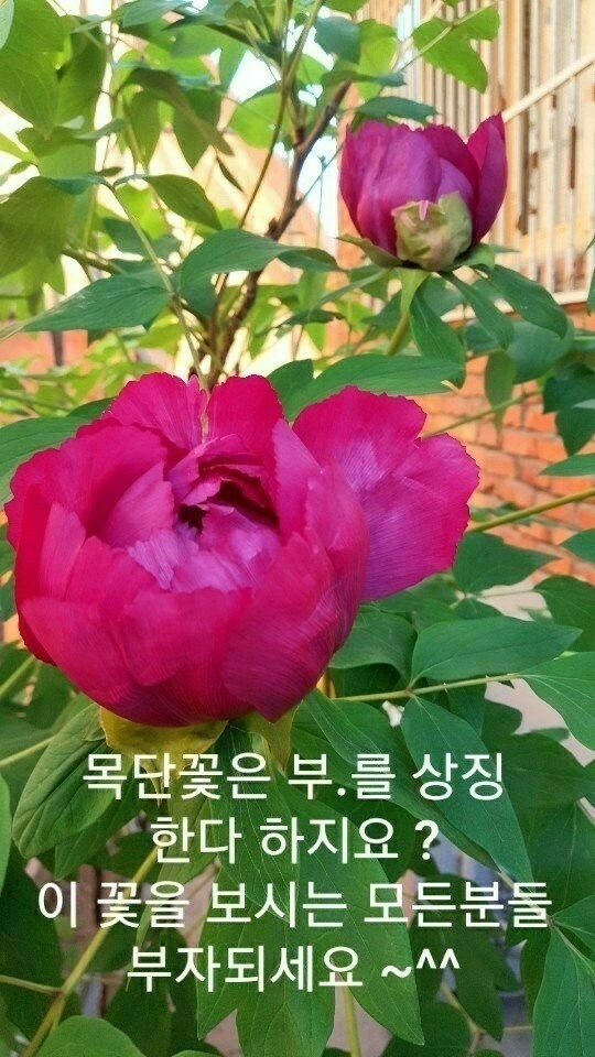 운종 이미지