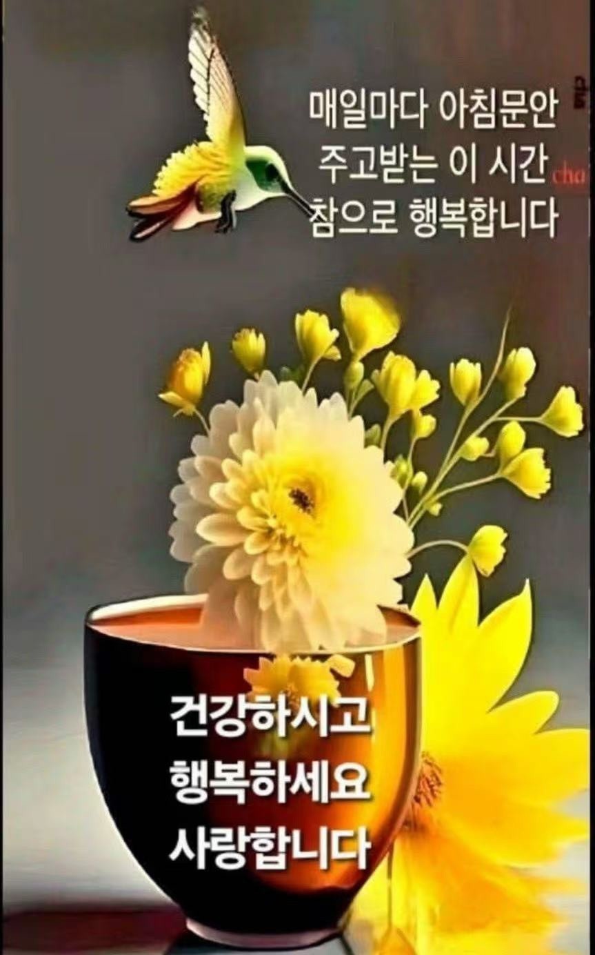잠언의료기 이미지