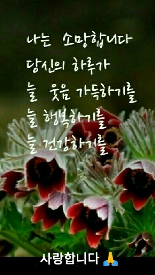 가조 이미지