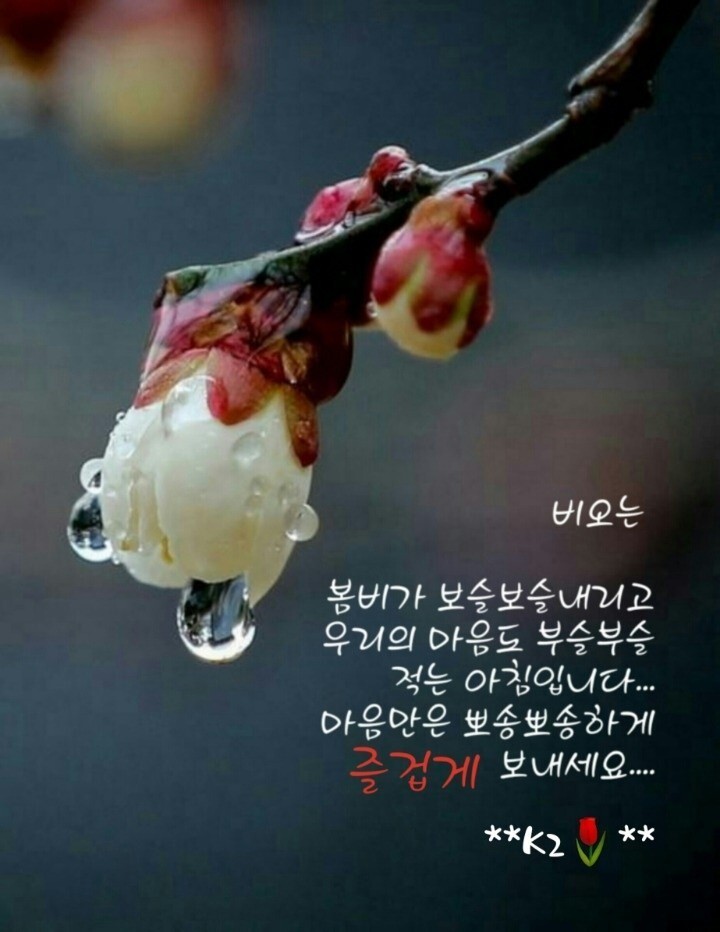 아이영 이미지