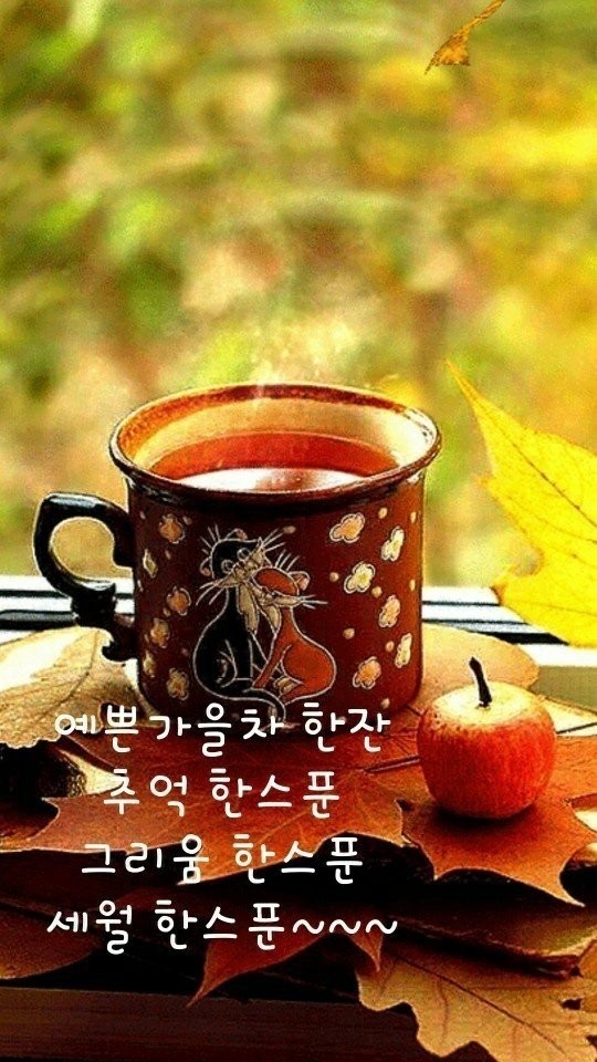 평화원 이미지