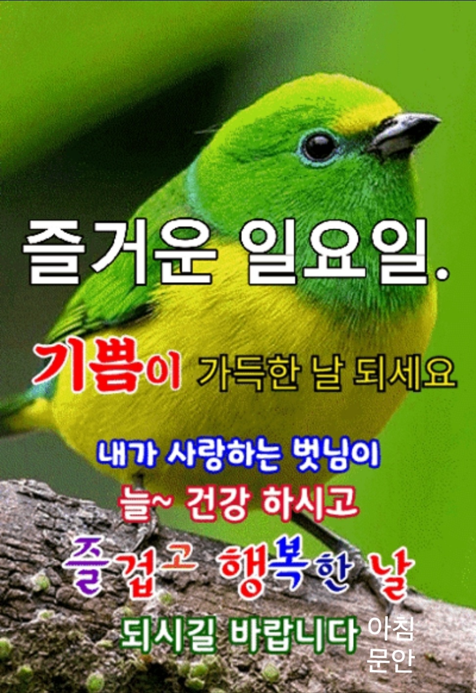 순창슈퍼 이미지