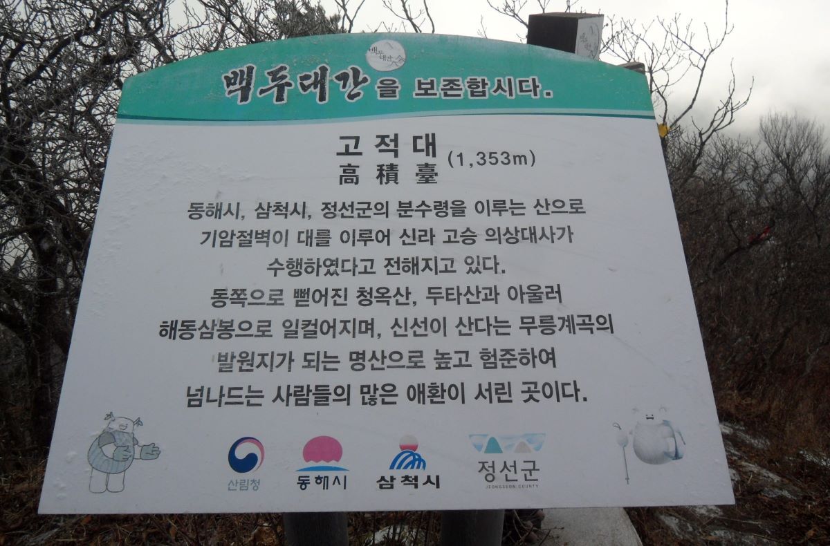 청옥주 이미지