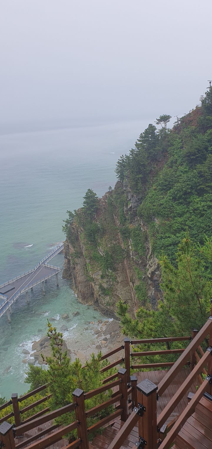 수아래 이미지