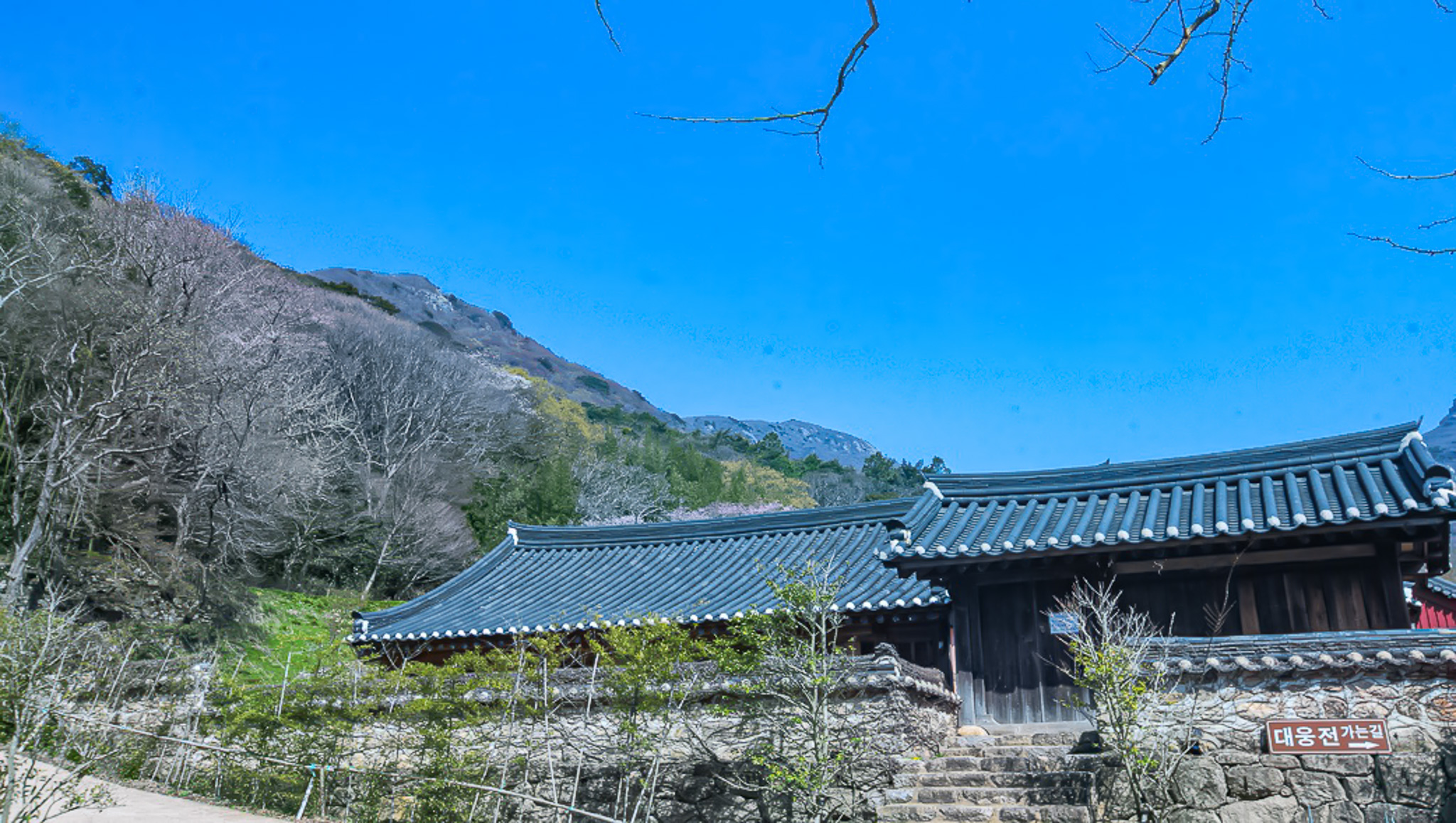 대흥사 전경 3