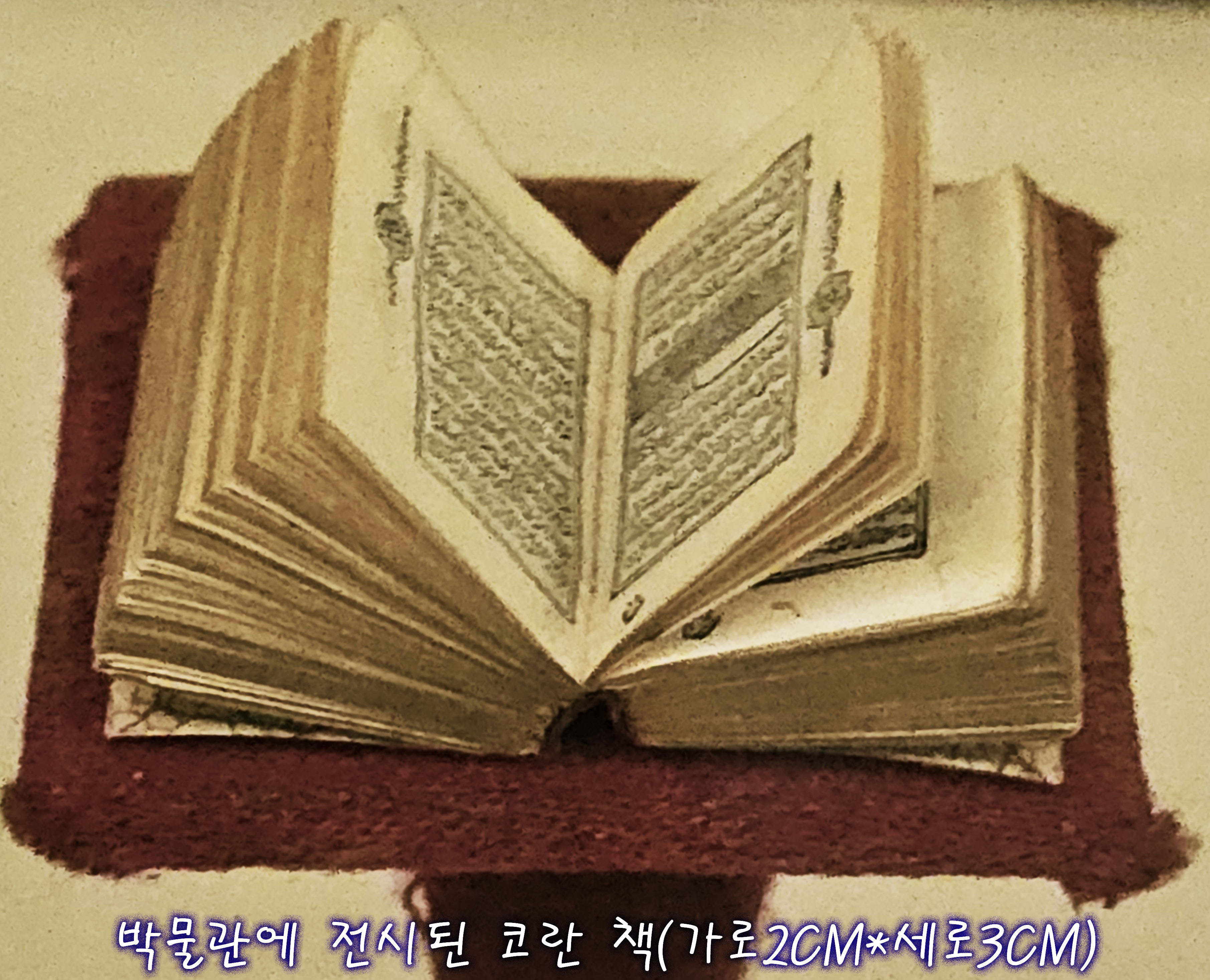 미노르(MINOR) 이미지