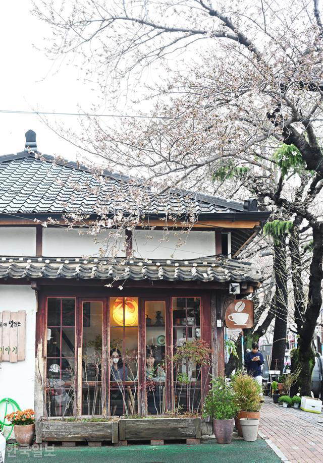 경화찻집 이미지