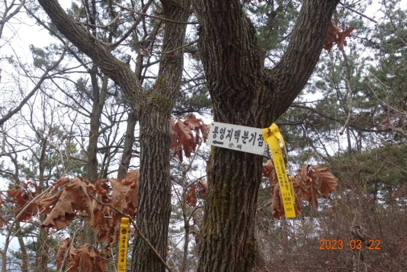 철성초등학교 이미지