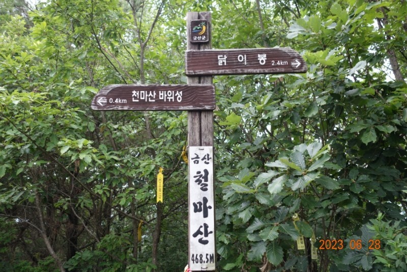 철마산 조망 이미지