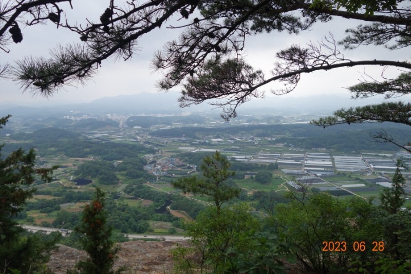 철마산 조망 이미지