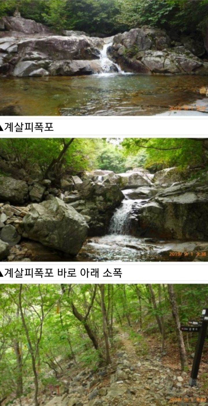 꽃돼지보쌈족발식당 이미지