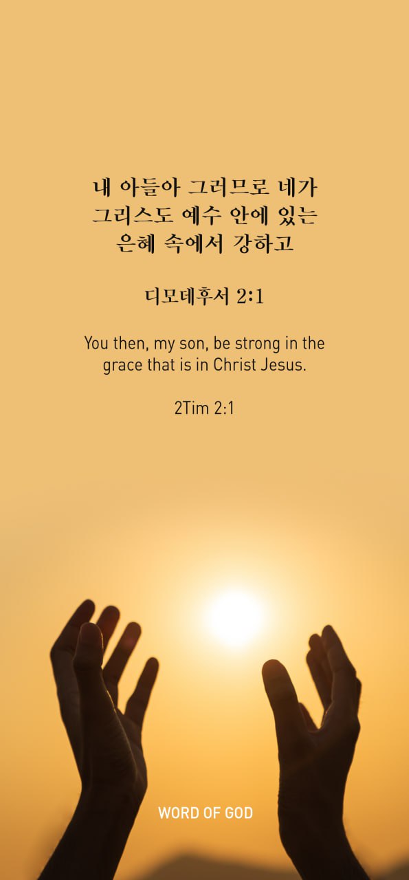 진리 이미지