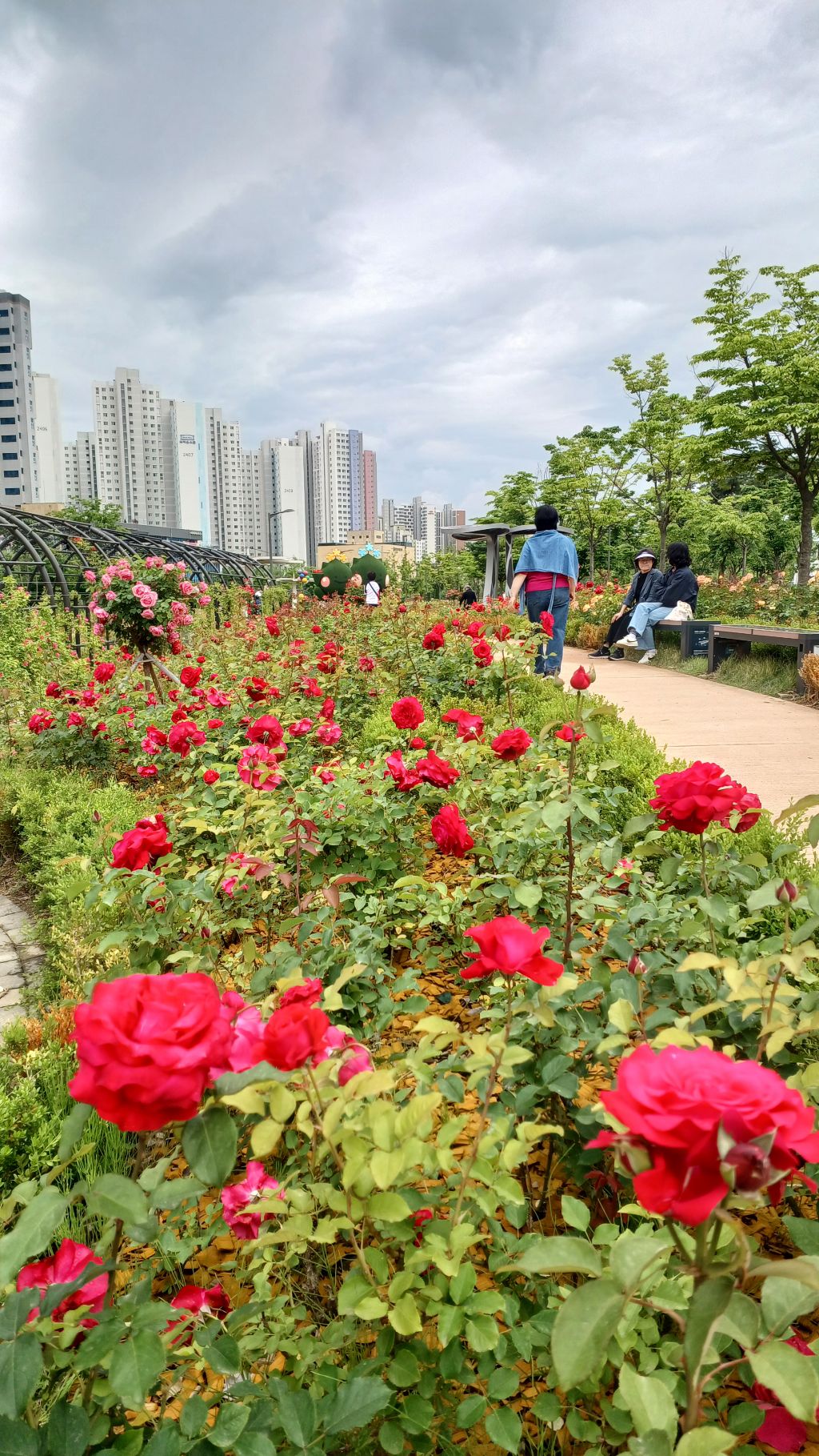 장미정원 이미지