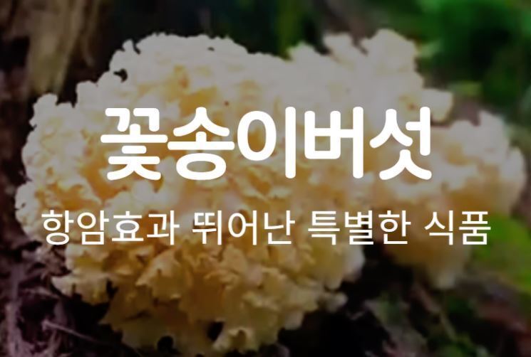 참나무식품 이미지