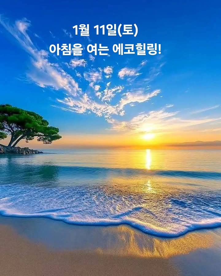 힐링 이미지