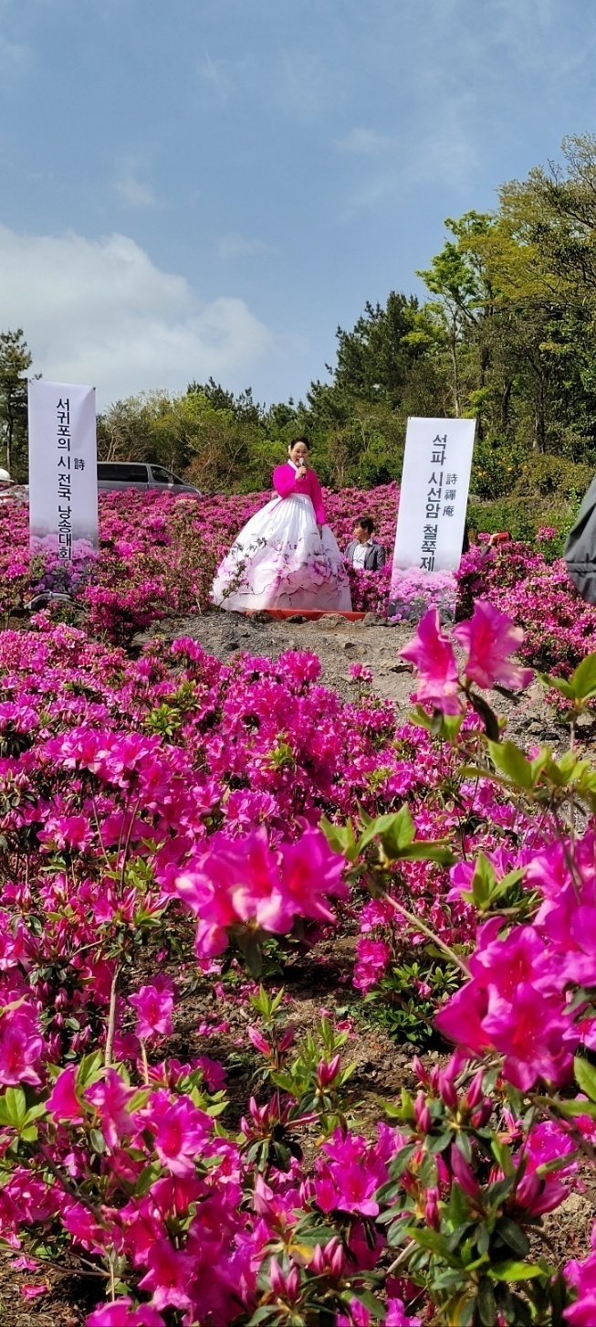 파시 이미지