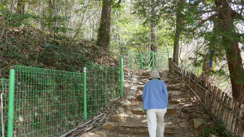 다산명가 이미지