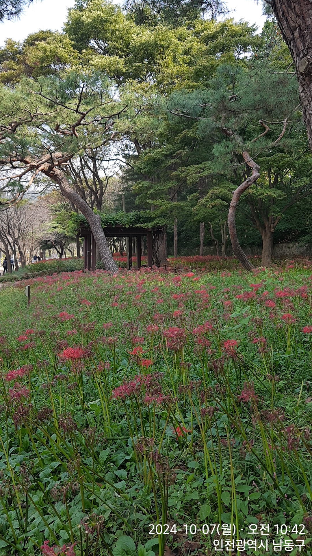 한성당구장 이미지