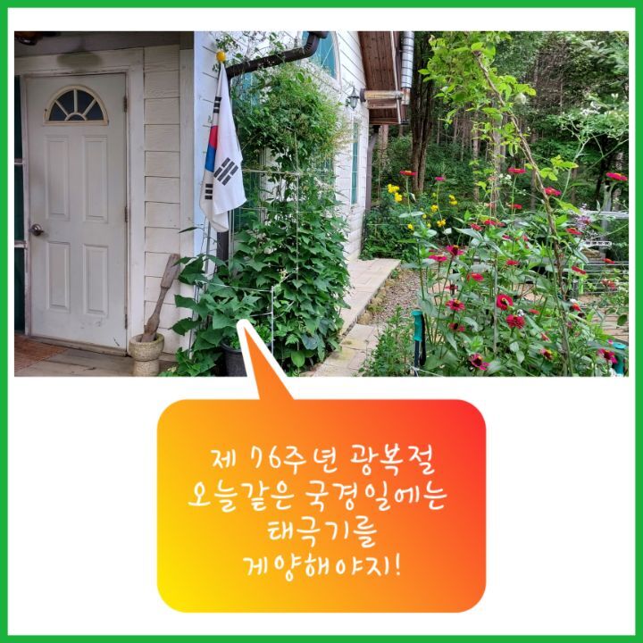 다목 이미지
