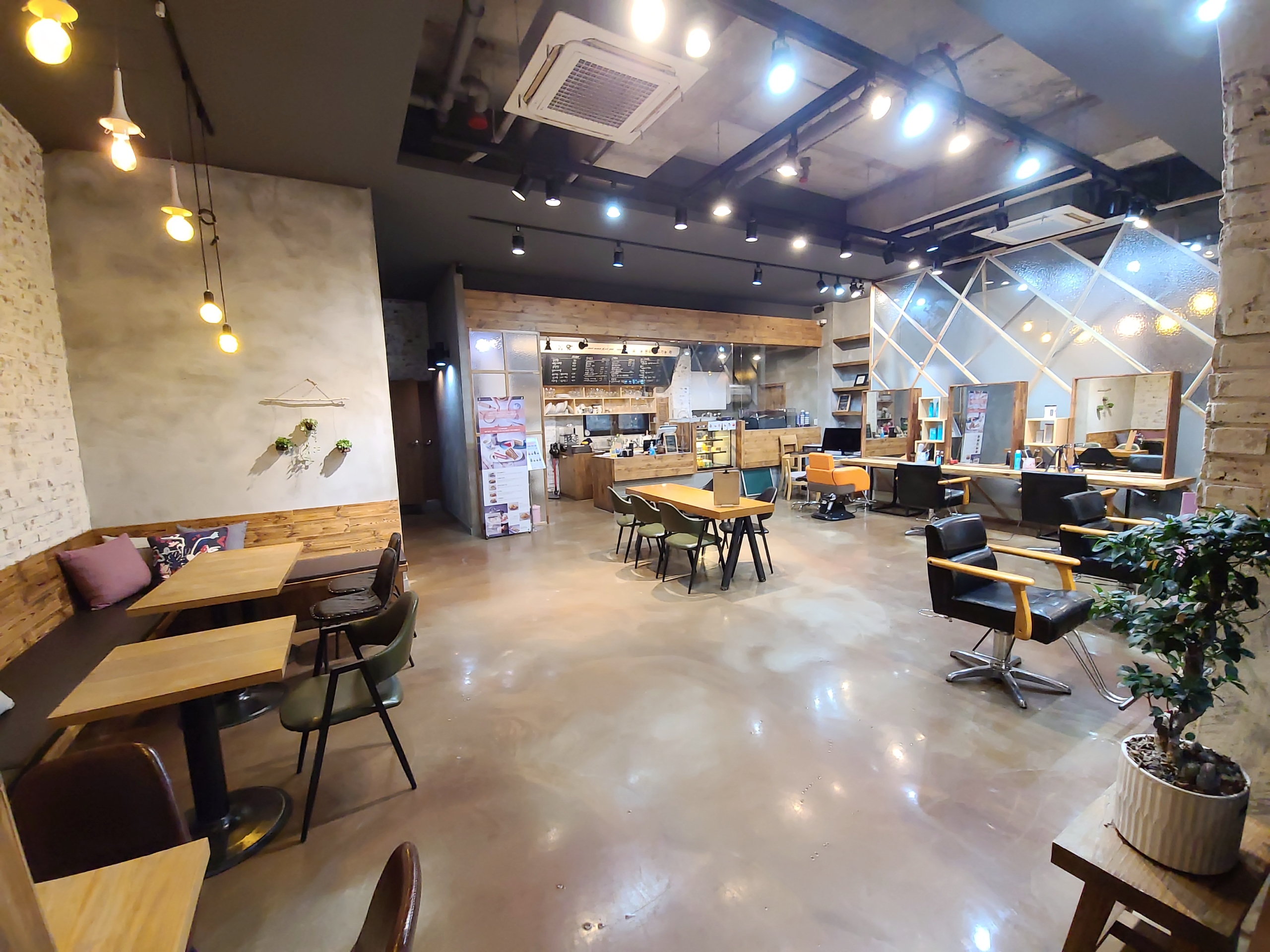 살롱;동백 이미지