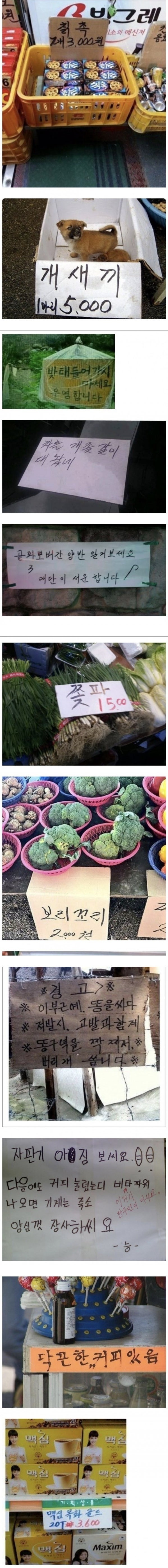 맛춤법 파개 짤들 | 인스티즈