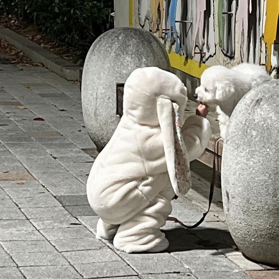 귀여움이 귀여움을 귀여워하는 중.jpg | 인스티즈