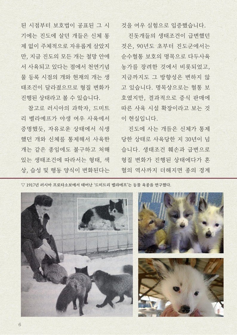 똥개가 다 된 '진돗개' | 인스티즈