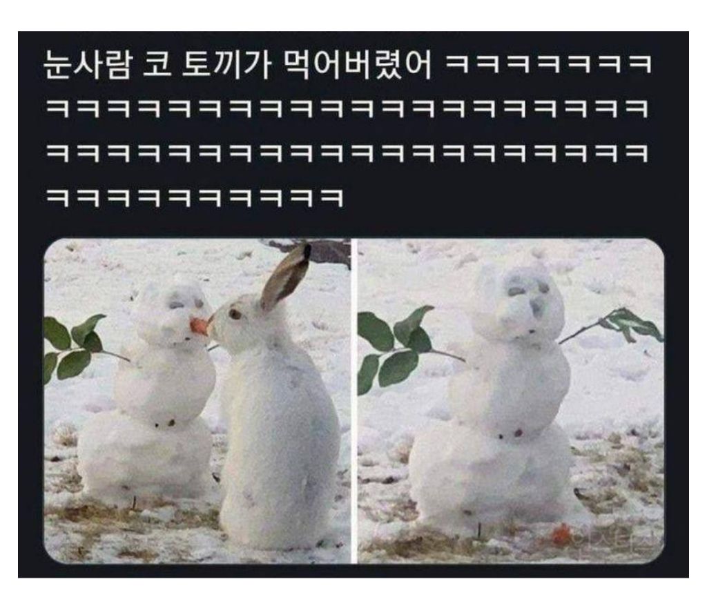 눈사람 코가 없어진이유 | 인스티즈