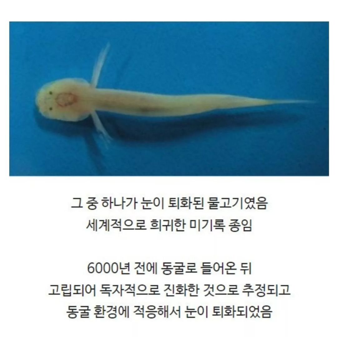 전신주 교체하다가 발견한 세계 | 인스티즈
