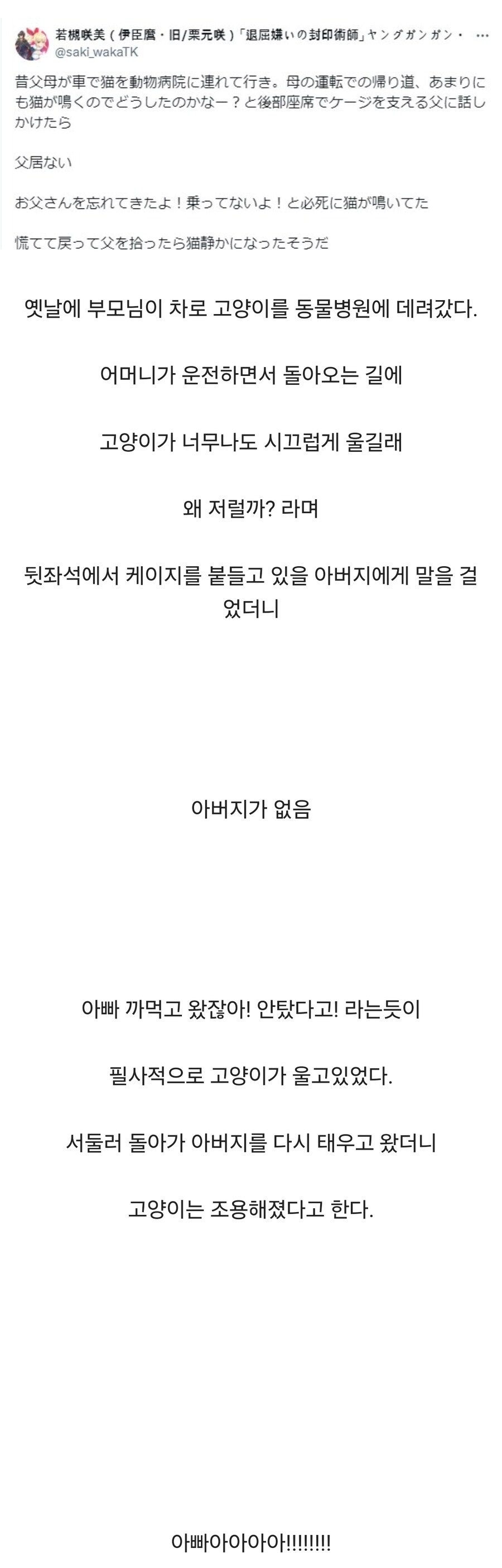 병원 갔다가 집에가는길에 고양이가 오열한 이유 | 인스티즈