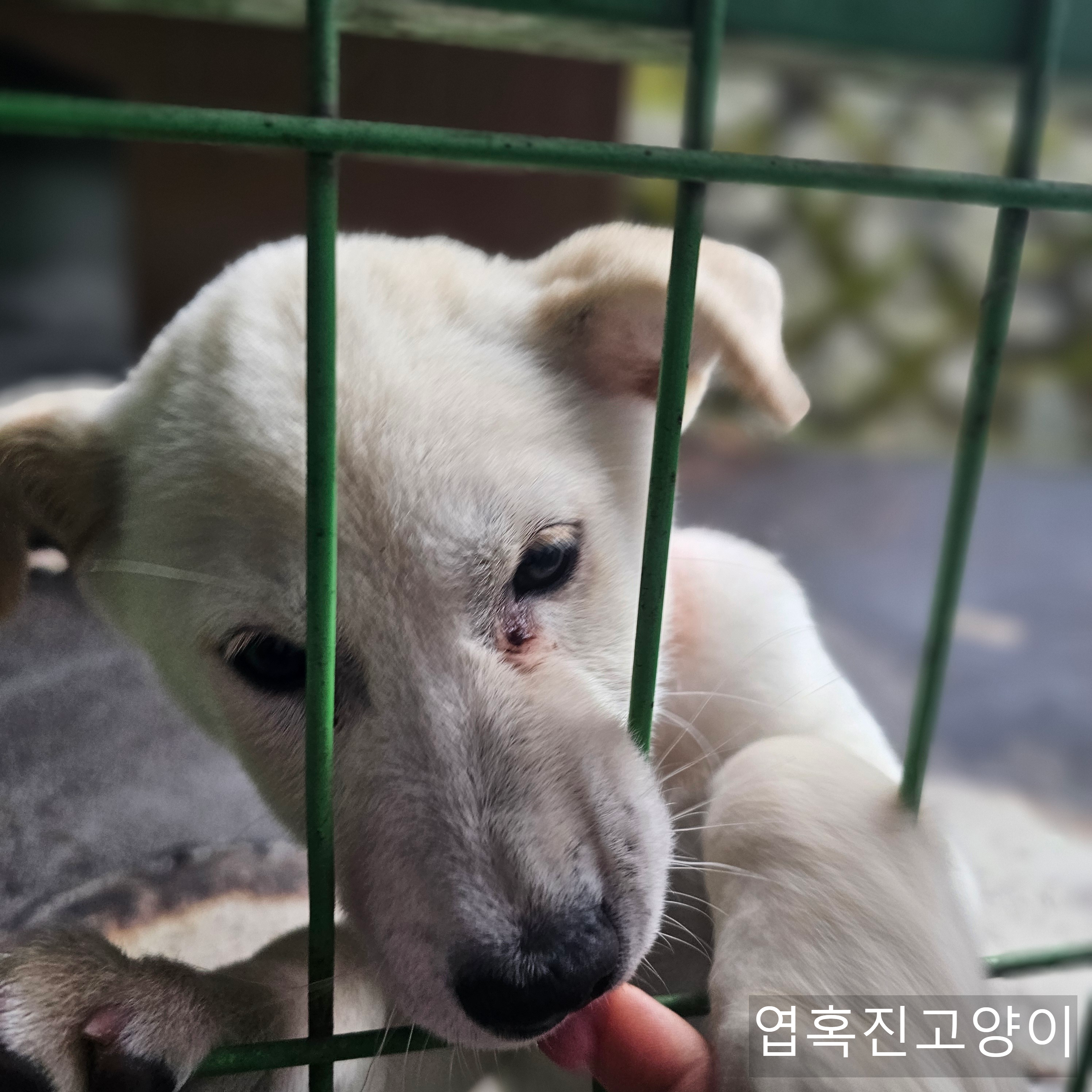 우리회사 복지자랑ㅎ | 인스티즈