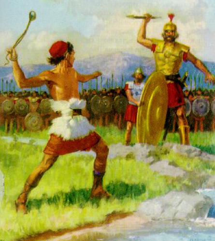 (뱀 주의) 코브라가 독을 뿜게 진화한 이유 | 인스티즈