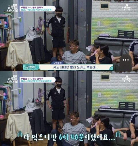 저번주 금쪽이 레전드 | 인스티즈