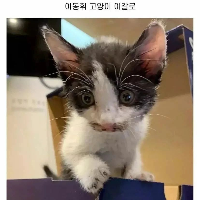 배우 이동휘가 2020년 했던 일 중 가장 잘한 일 | 인스티즈