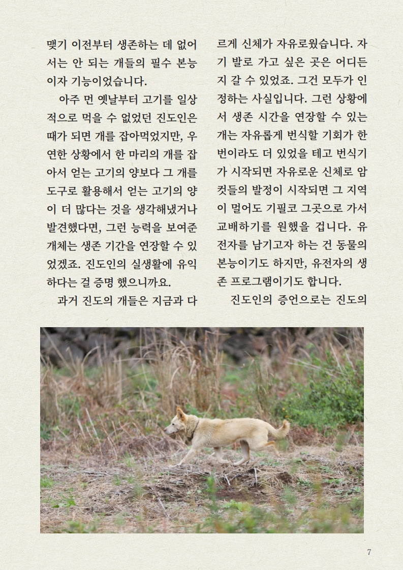 냉혹한 생존 환경 그리고 '제거된 진돗개' | 인스티즈