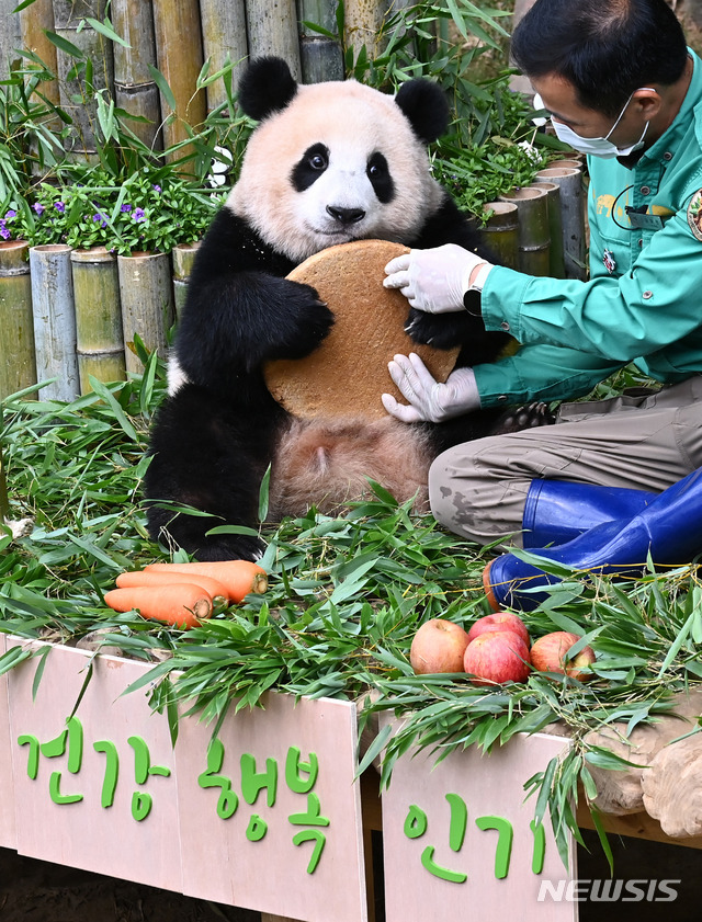 드디어 40kg 찍은 '그 판다'🐼 | 인스티즈