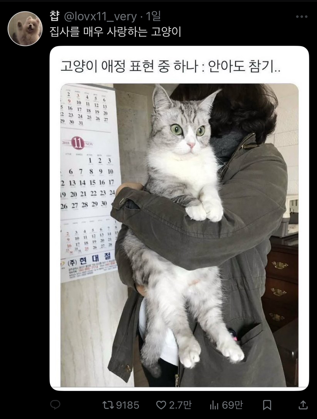 고양이의 애정표현 중 하나 | 인스티즈