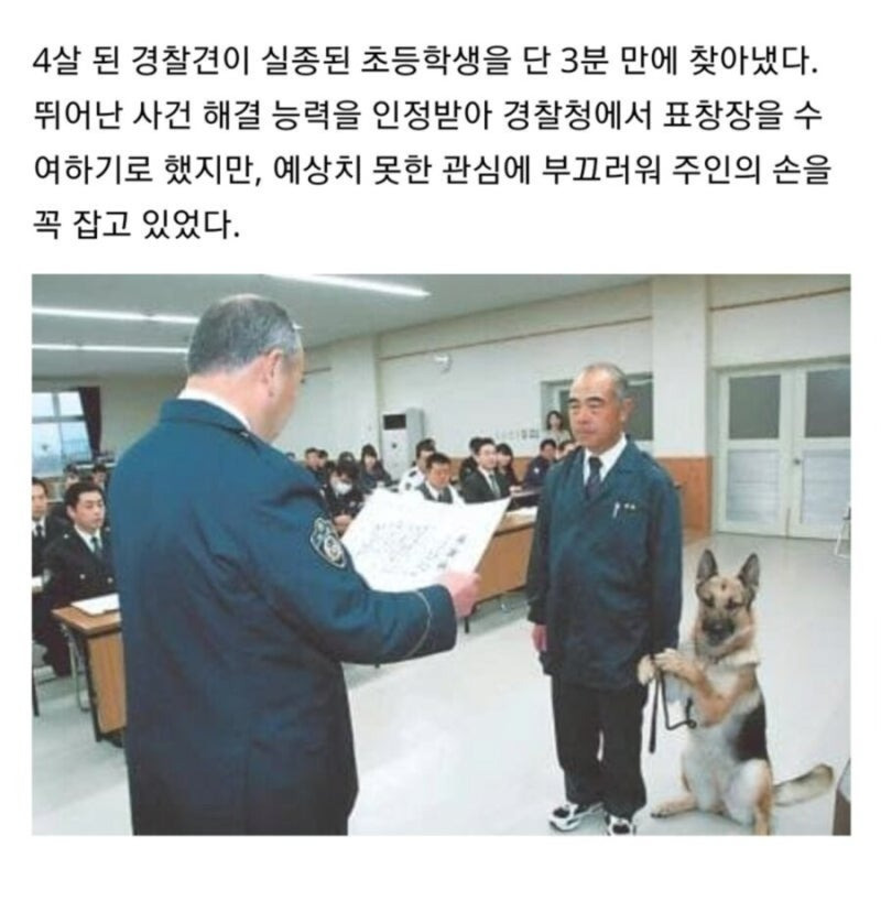 귀여운 경찰견 | 인스티즈