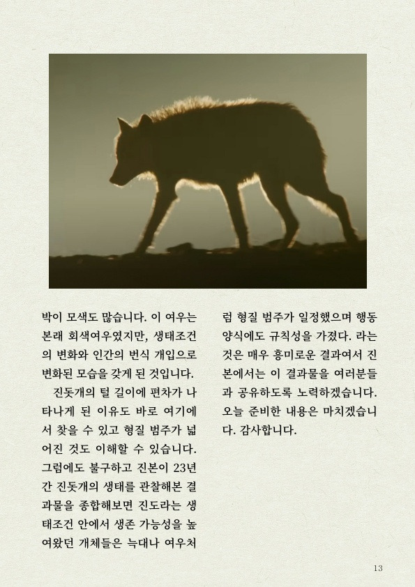 천재 진돗개의 '털' 감각 | 인스티즈