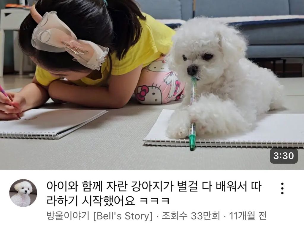 아이와 함께 자란 강아지 | 인스티즈