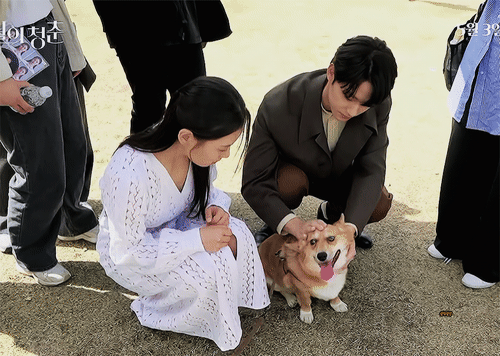 이도현 드라마 촬영장에서 반려견 가을이랑.gif | 인스티즈