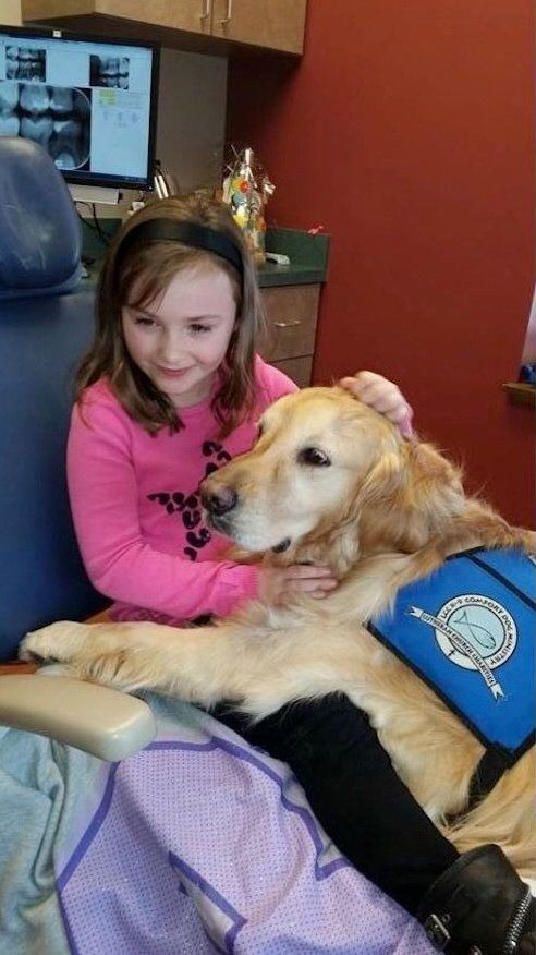 치과 무서워하는 손님을 다독여주는 댕댕씨들.jpg | 인스티즈