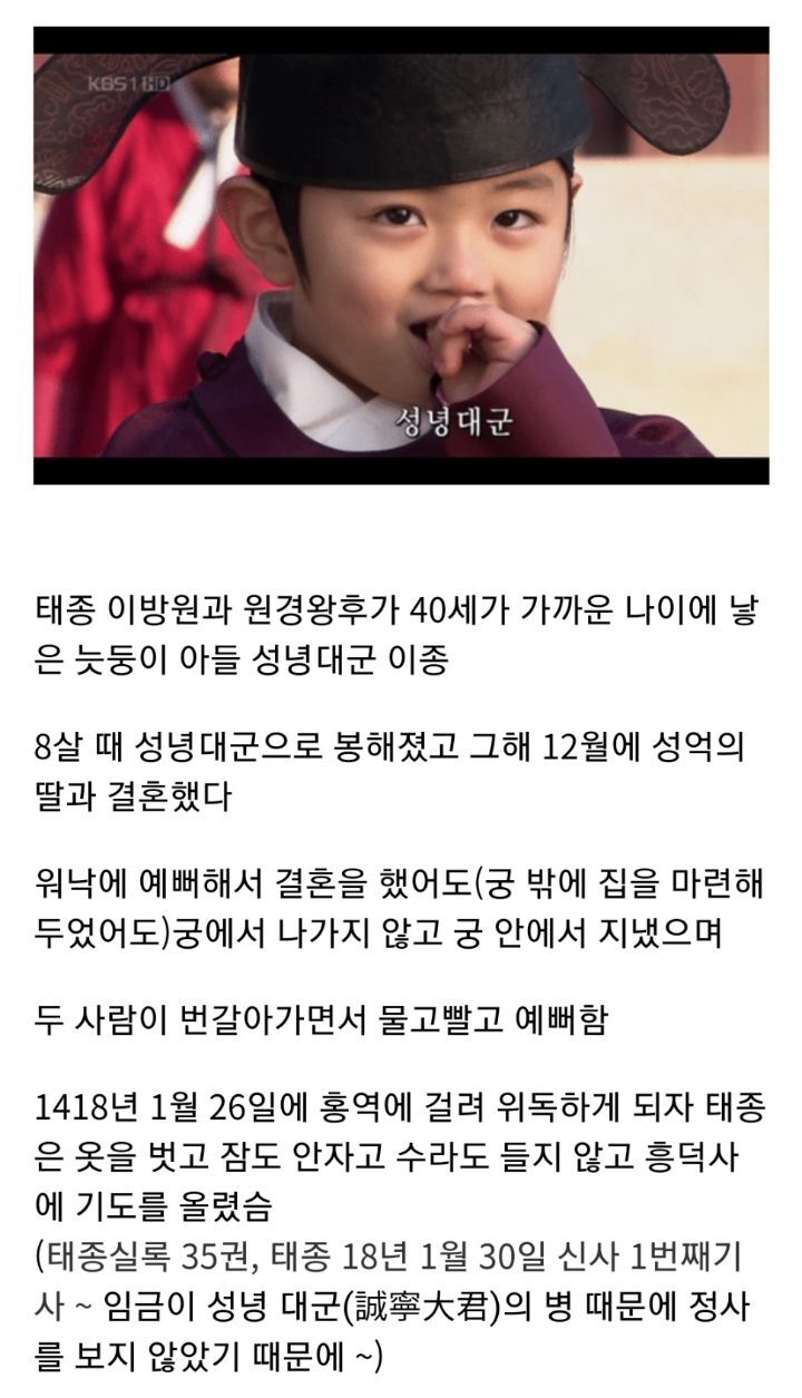양녕대군과 충녕대군(세종)의 인간성 차이를 극명하게 보여주는 동생 성녕대군에 얽힌 일화 | 인스티즈